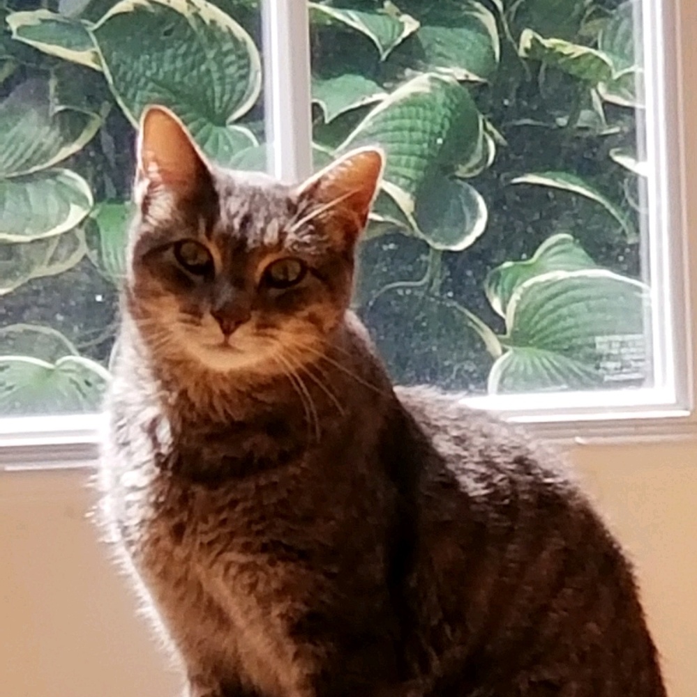 Meet your Posher, Tammy